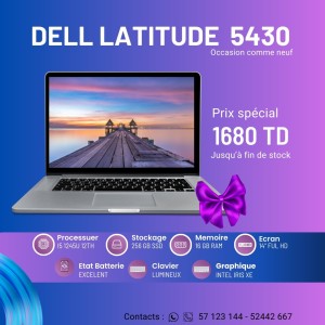 Dell Latitude