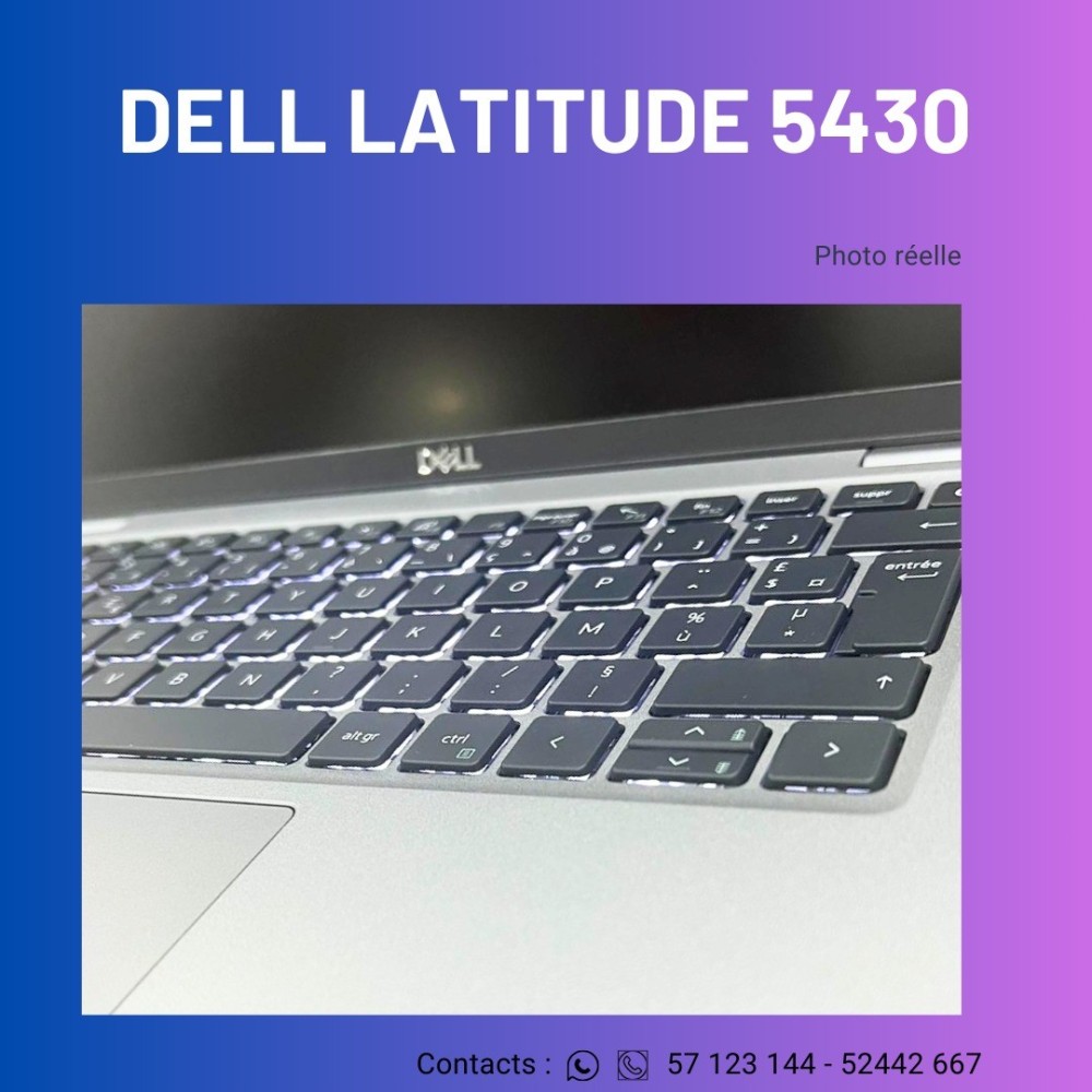 Dell Latitude